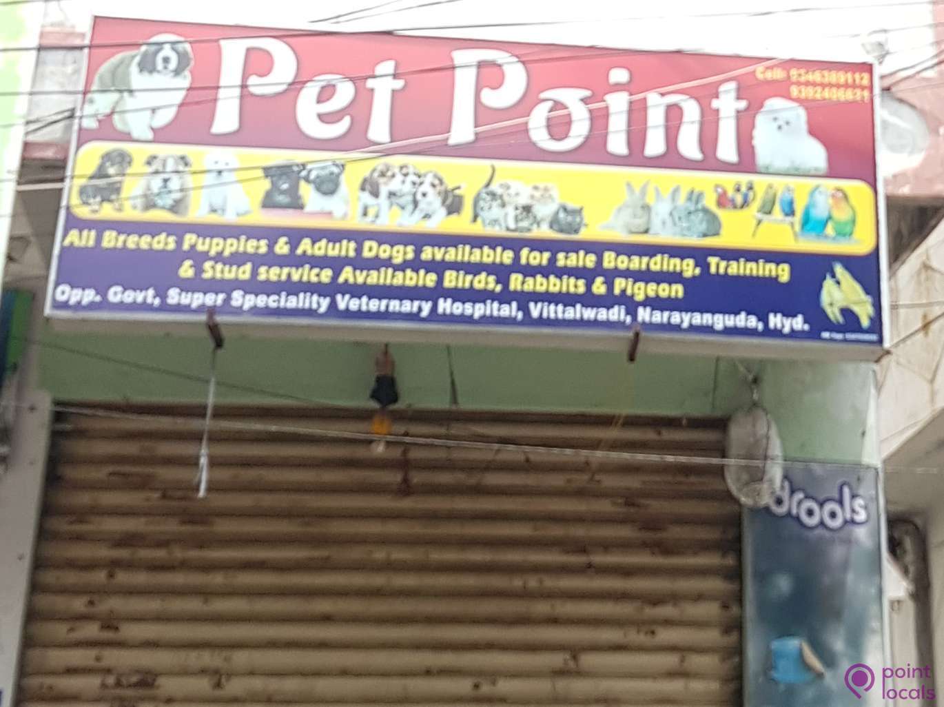 Pet Point Pet Shop in Hyderabad,Telangana Pointlocals