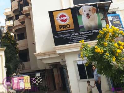 Prazer's Store & Veterinary Services - Pet Shop in Hyderabad,Telangana |  Pointlocals